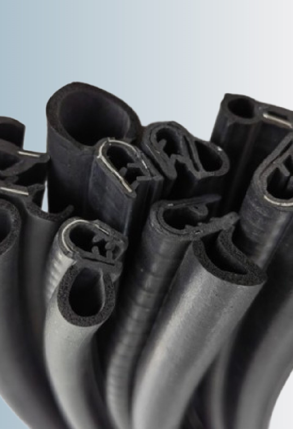 ゴムだけじゃない葵ゴム